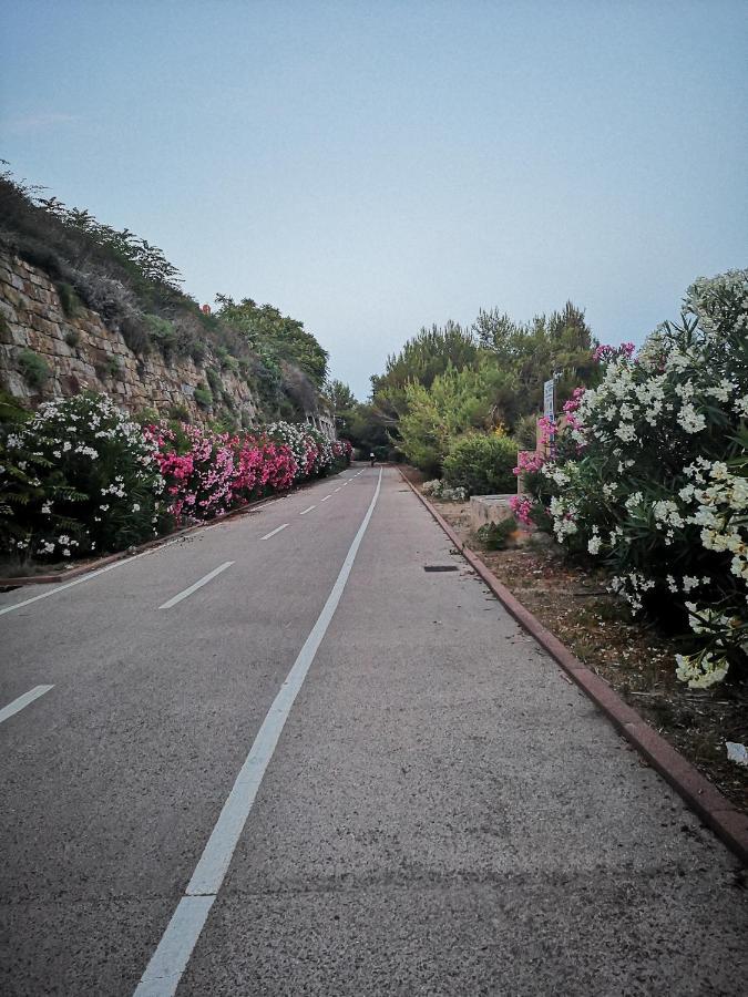 شقة Da Rino Cipressa المظهر الخارجي الصورة